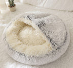 Cozy Shell