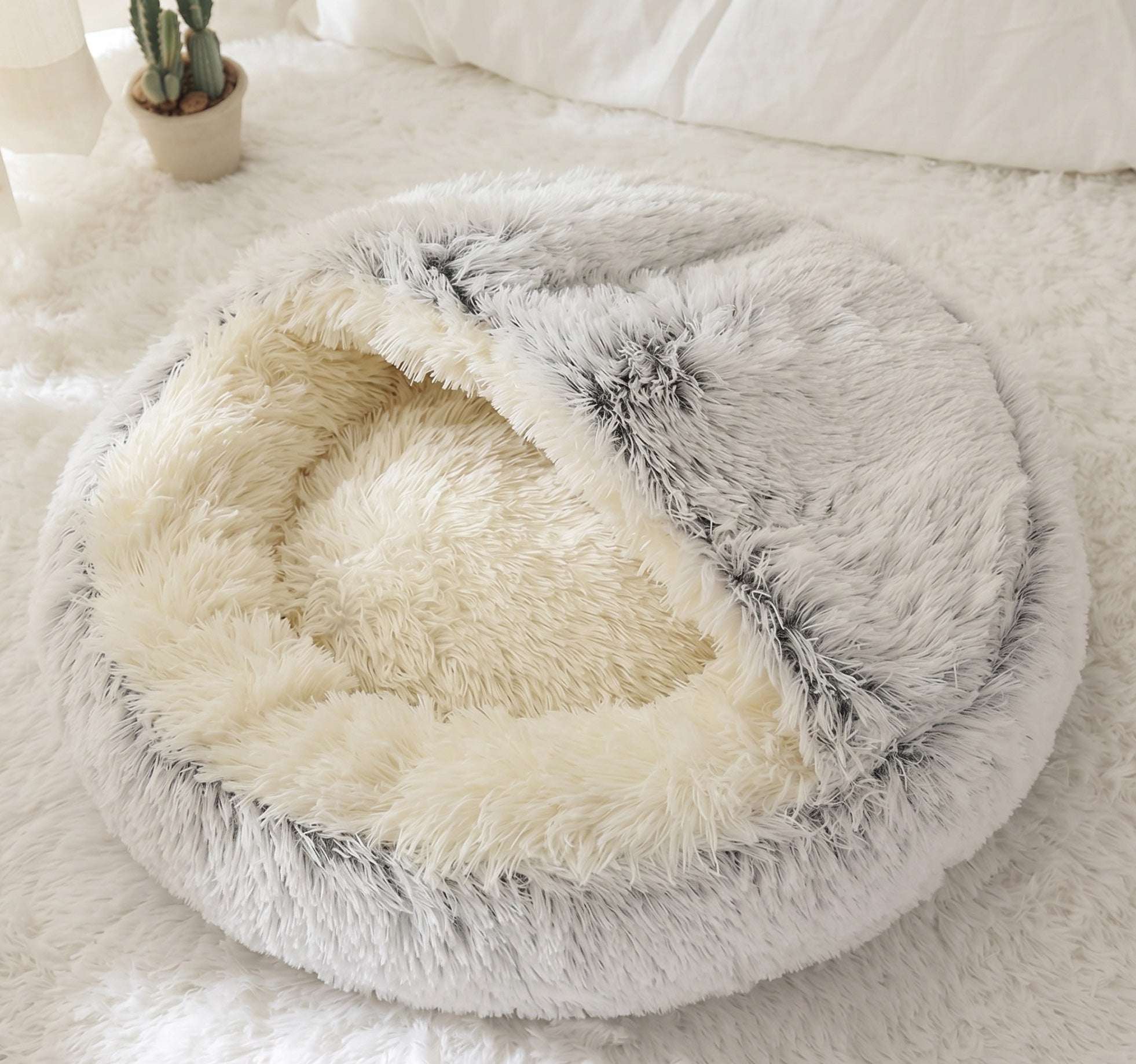 Cozy Shell