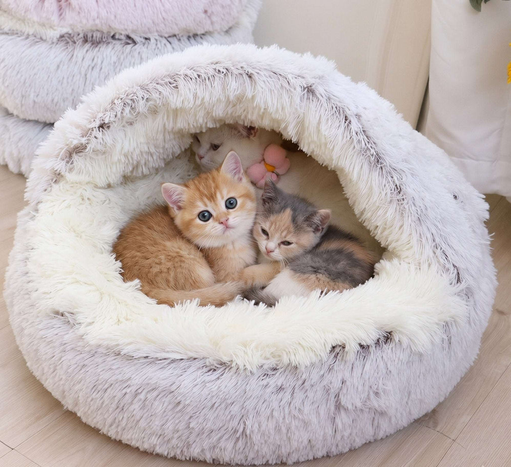 Cozy Shell