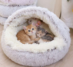 Cozy Shell