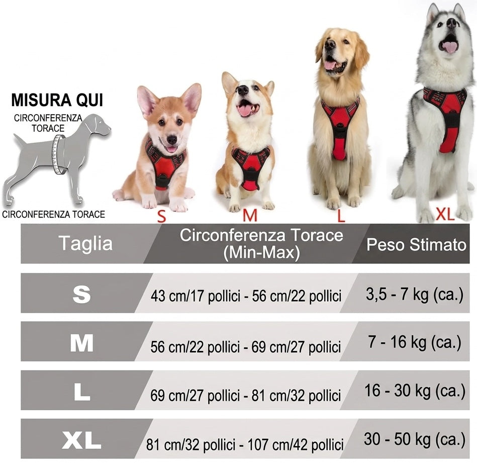 Size Chart Image