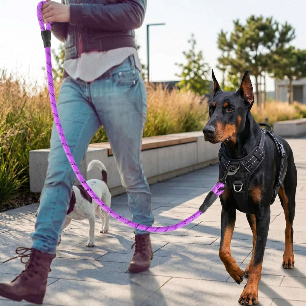 SafeWalk Pro Leash - Guinzaglio Riflettente Antistrappo