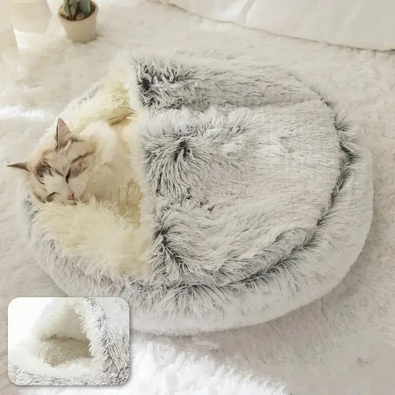 Cozy Shell