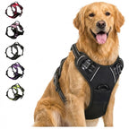 SafeWalk Pro - Pettorina Comfort Anti Trazione