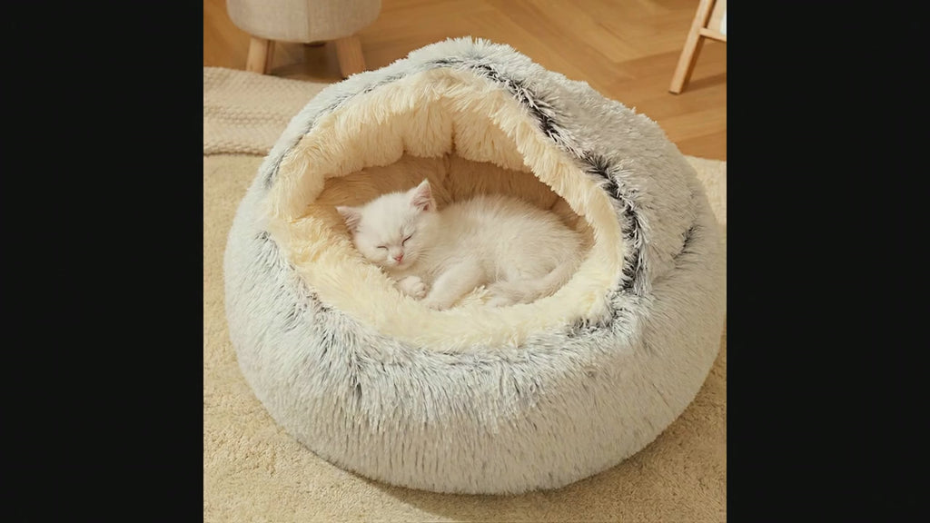 Cozy Shell