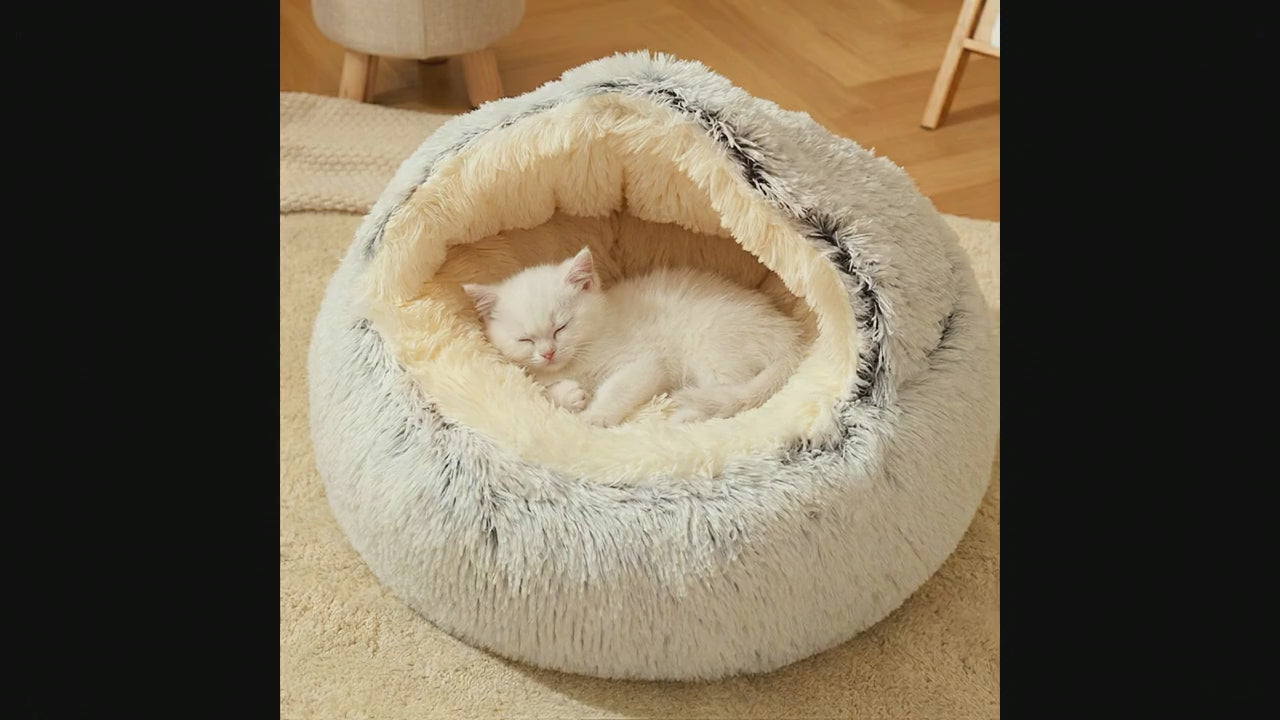 Cozy Shell